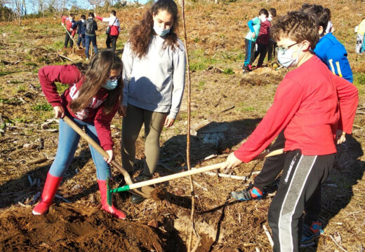 Alumnado pobrense participou na reforestación dun espazo natural